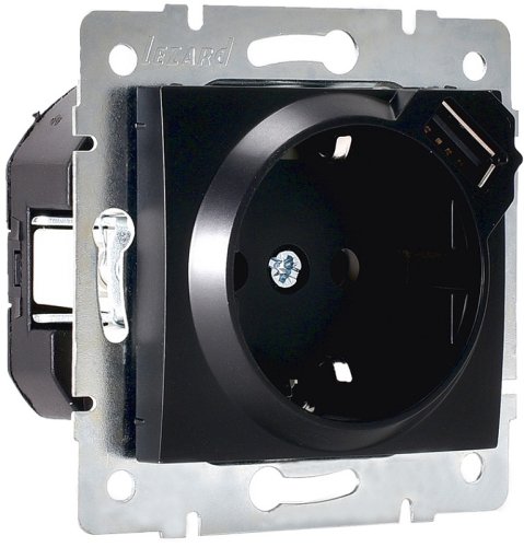 Розетка с заземлением +1хUSB без рамки Lezard Karina 1-м. черный бархат фото Розетка с заземлением +1хUSB без рамки Lezard Karina 1-м. черный бархат картинка